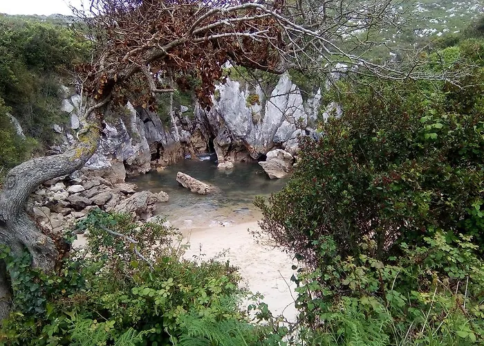 Rural Ovio מלון 2*